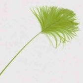 Kód: 33075 Strucc toll vég - KIWI GREEN / 33075